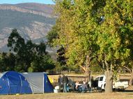 Camping site with shady tree and views of the Grampians